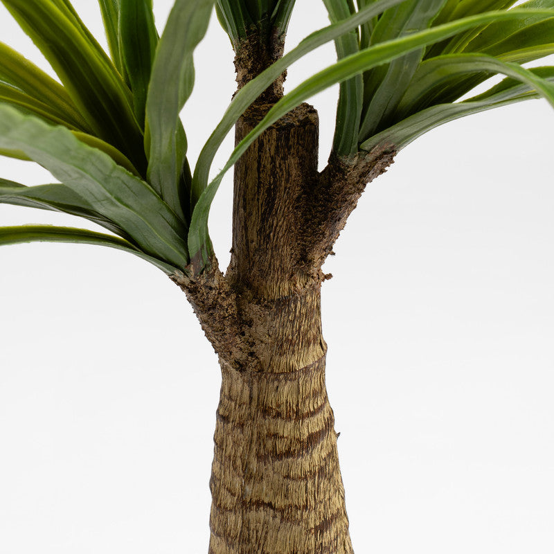 76cm Artificial Dracaena Plant